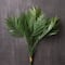Tropical Palm Stem by Ashland®